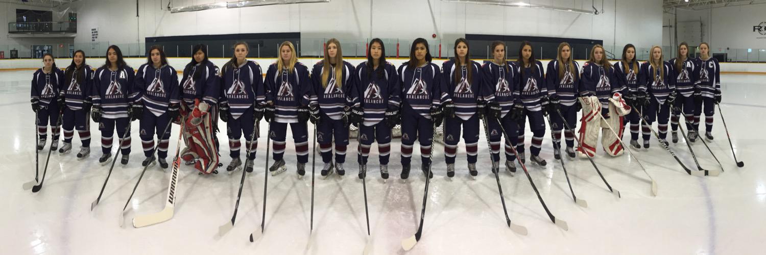 WCAvalanche's profile banner image