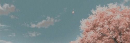 CrunchyNapkin banner