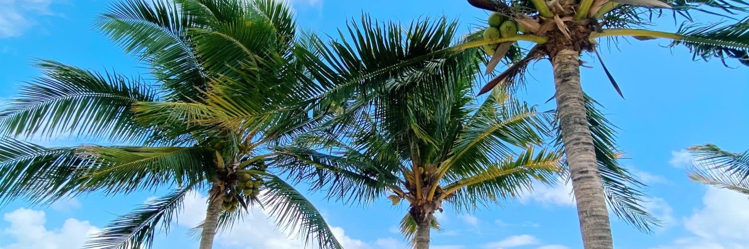 thomasbejarno's profile banner image