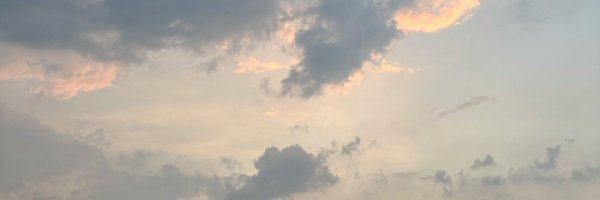 whatwhowhenWAR Profile Banner