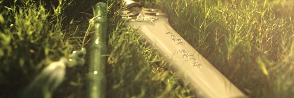 TLN | 兰凤's banner