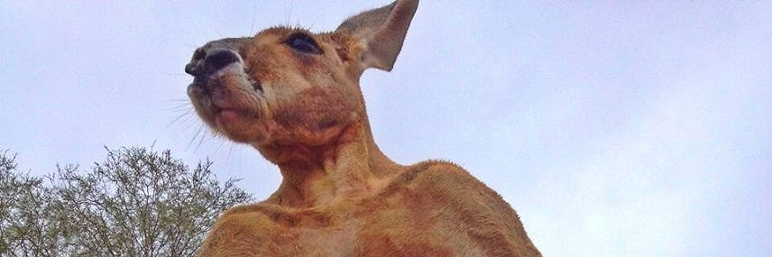 LucasMarson8's profile banner image