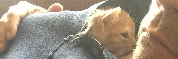 jcano88184 Profile Banner