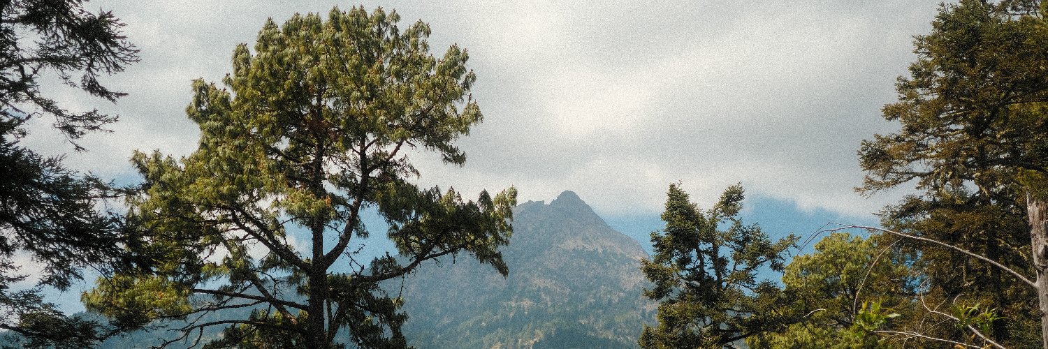 RubenVareide's profile banner image