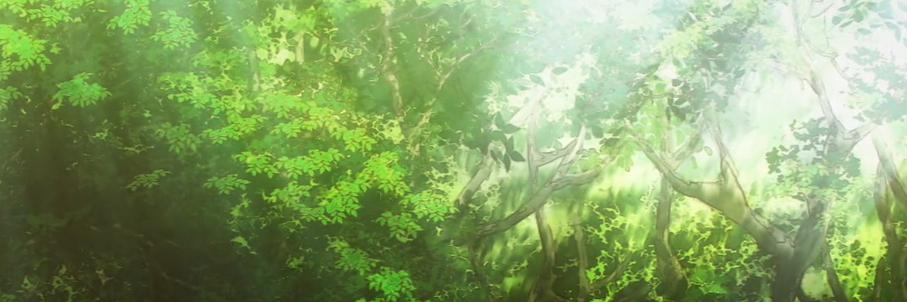 HBSodin banner
