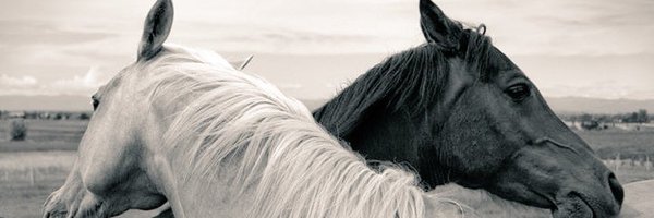 evrn1905 Profile Banner