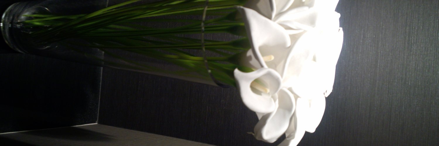 gannsun's profile banner image