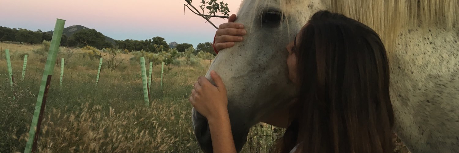 FatiimaFT's profile banner image