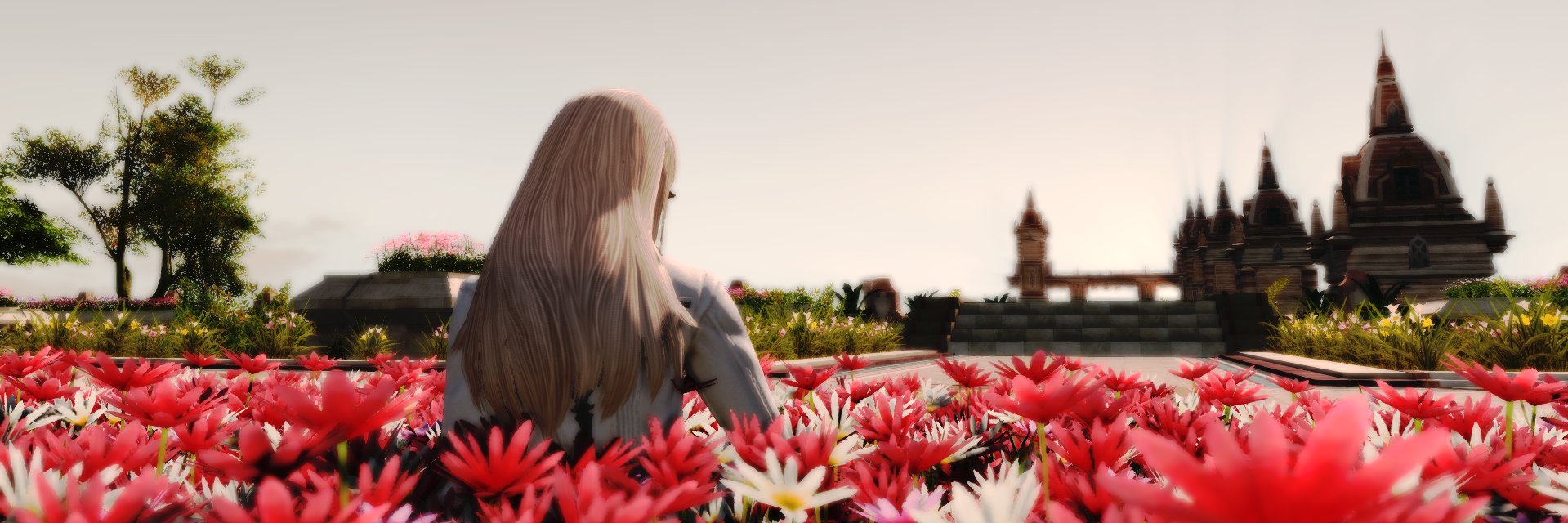 masiro_77's profile banner image