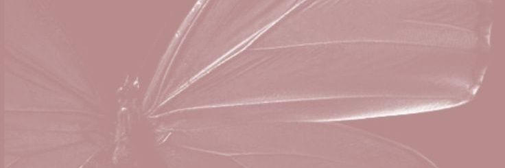 shininglikeurbrain banner