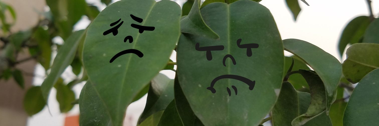 Angel_z2_'s profile banner image