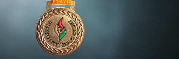Hungarian Paralympic Team banner