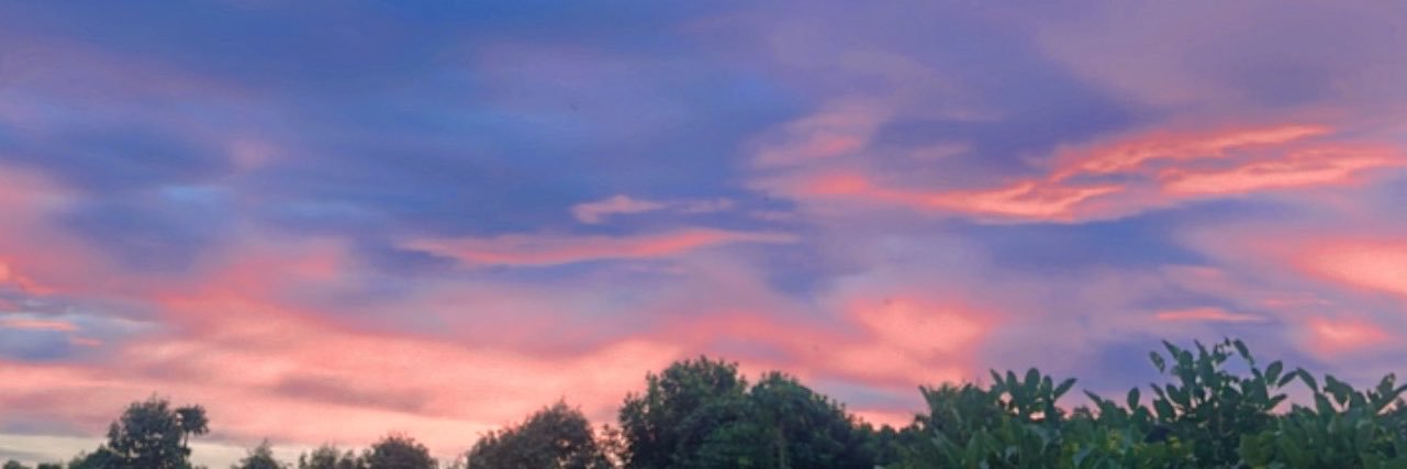 Angsuda11's profile banner image