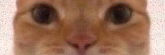 _hanxyy's profile banner image