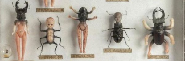 CollectorBugs Profile Banner