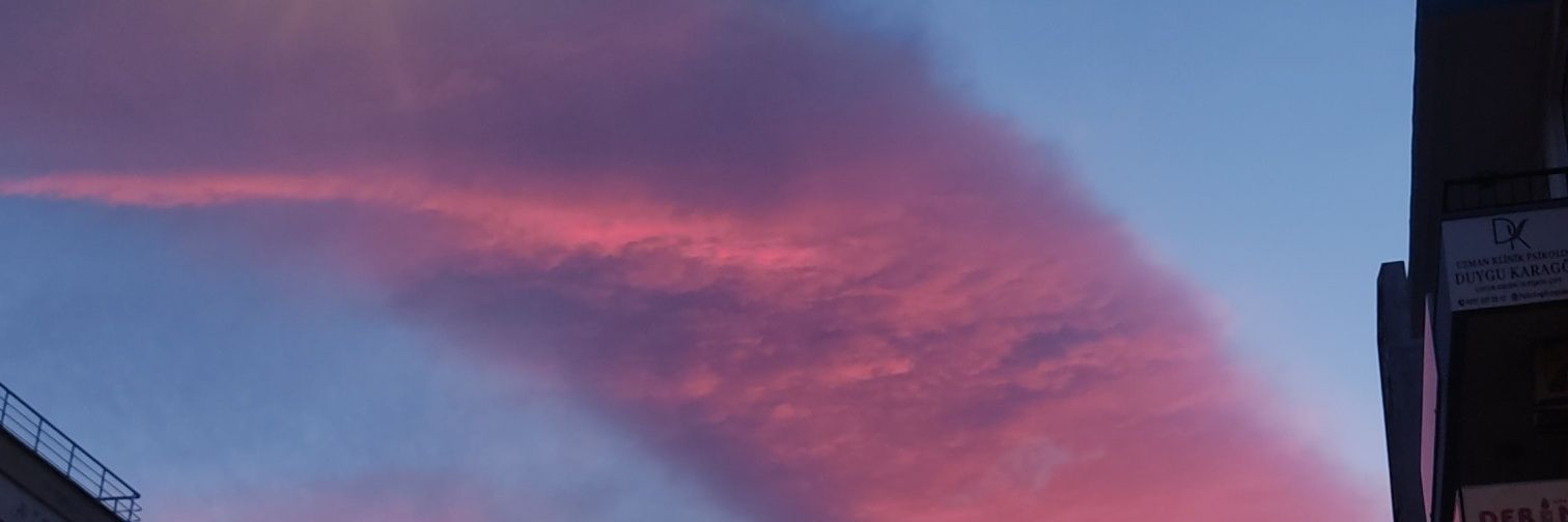 sevimlilaydi's profile banner image