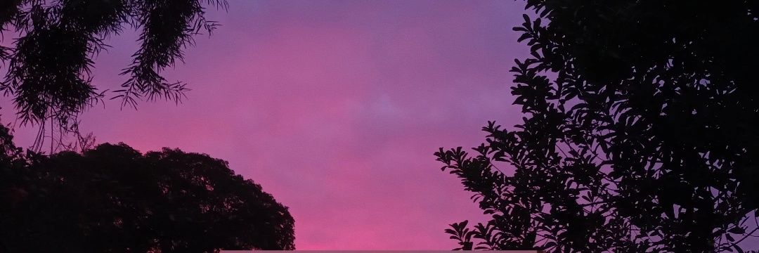 Dlbord's profile banner image
