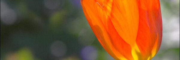 kmueller9395 Profile Banner