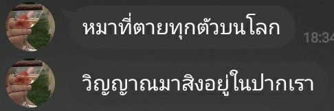 มอลอนอ | ไม่ต้องติดตามกลับ banner