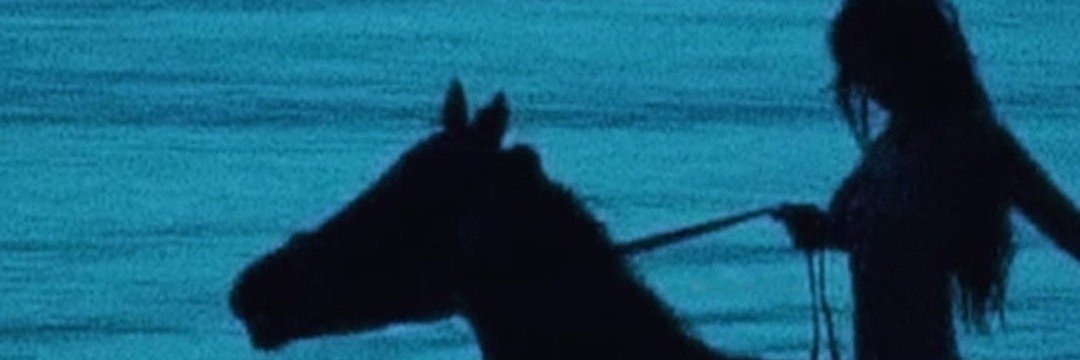 ASbaragliax's profile banner image