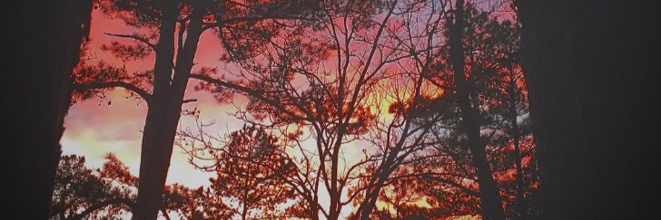 RyanCale44's profile banner image