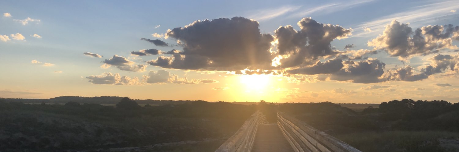 LN_aron's profile banner image