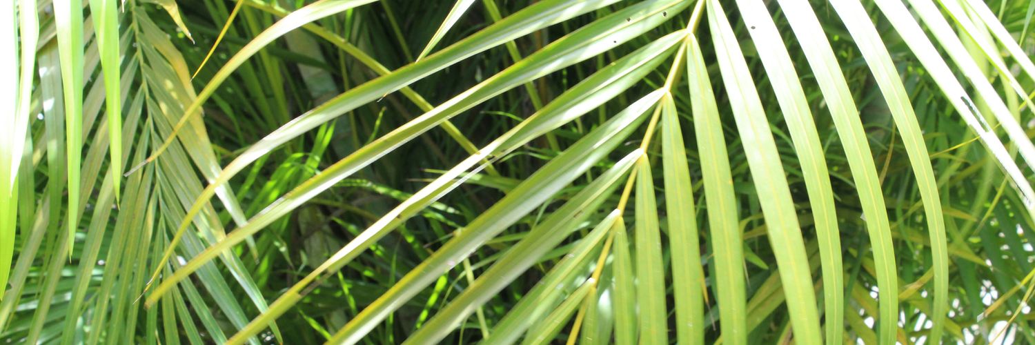 trishtomx's profile banner image