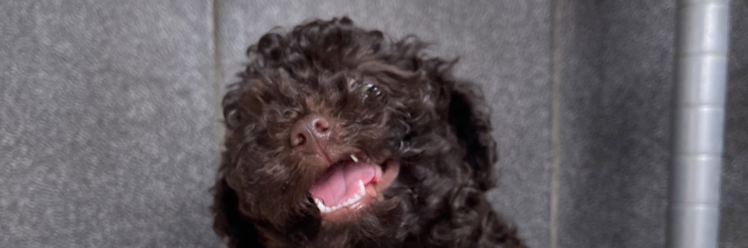 pwaket's profile banner image