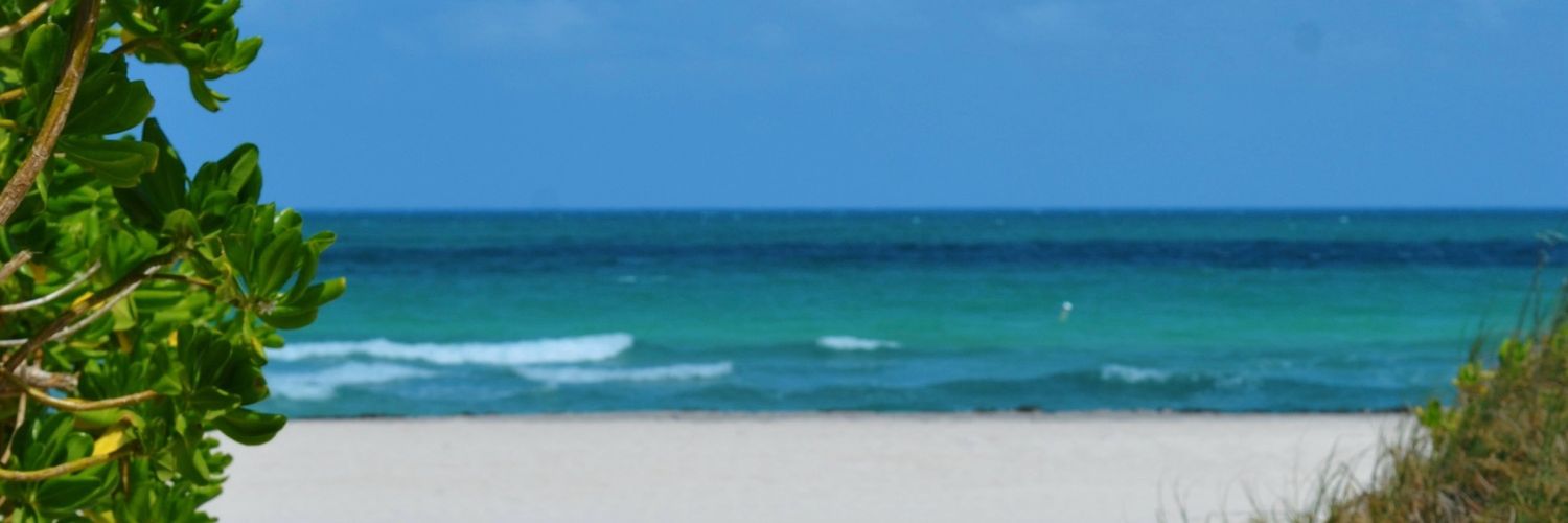 Samledger_'s profile banner image