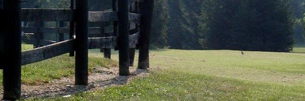 jollerj's profile banner image