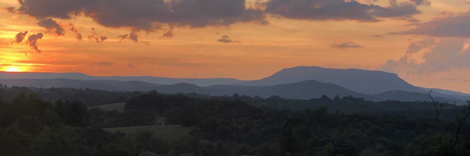 Kim Winingear banner