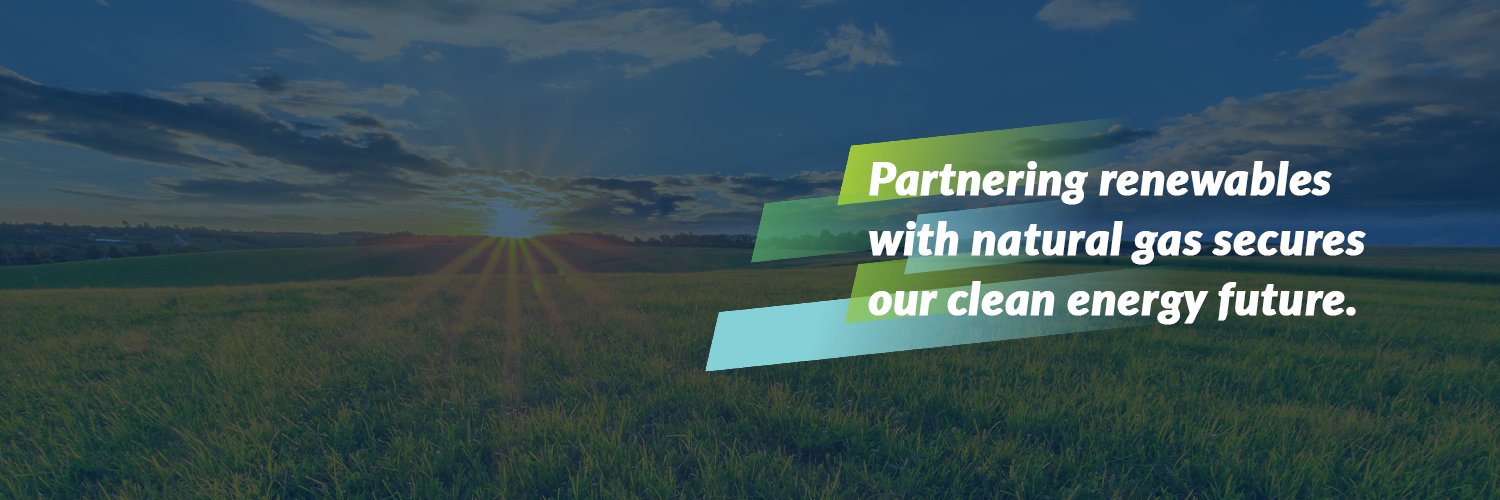 Natural Allies for a Clean Energy Future's banner
