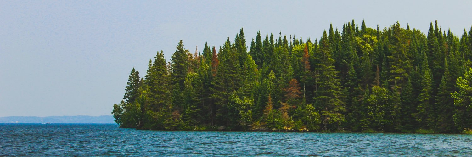 briellemartens's profile banner image