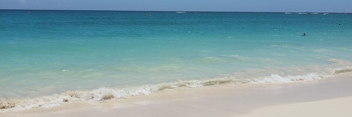CarloSebio's profile banner image