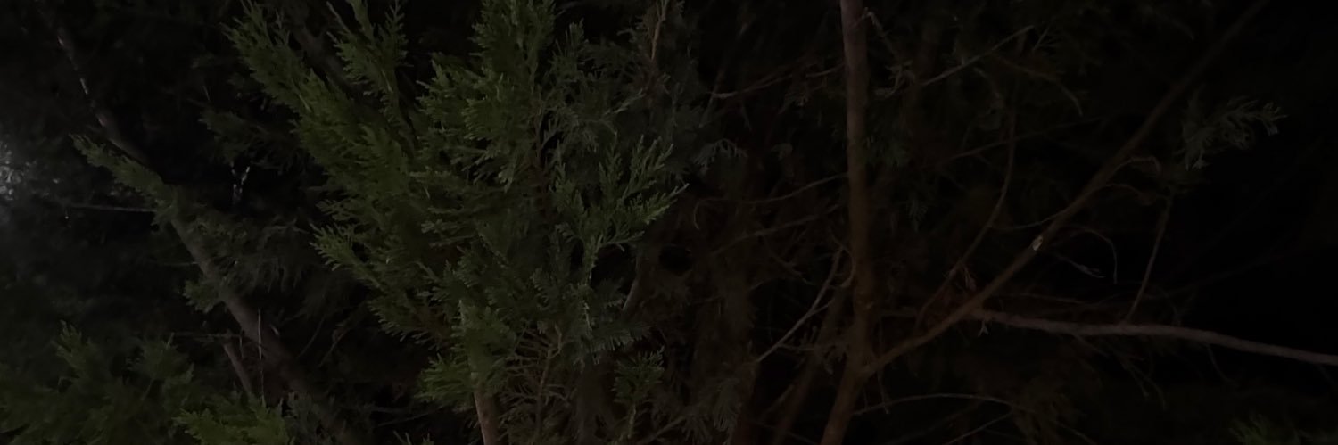 snkyay's profile banner image