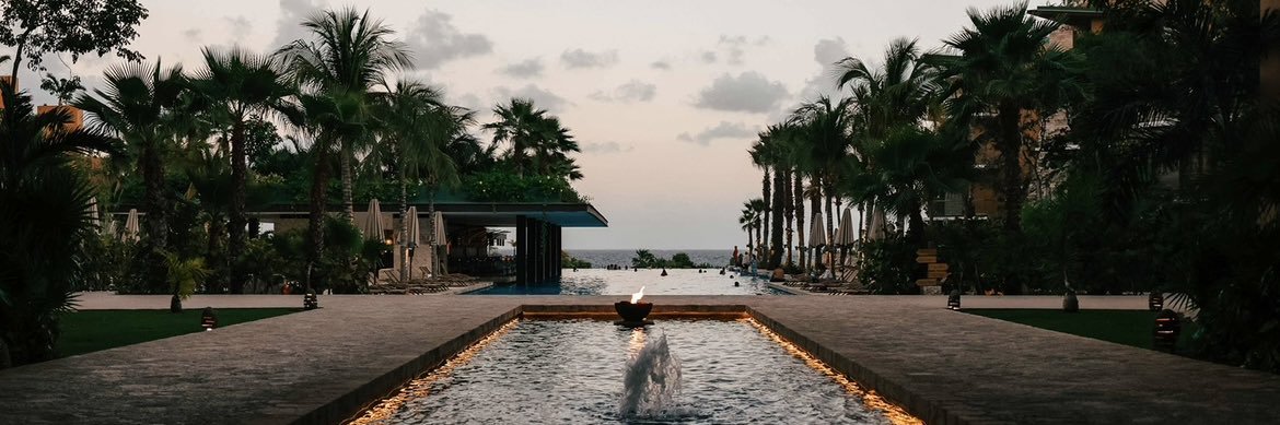 Bookie Bandit banner