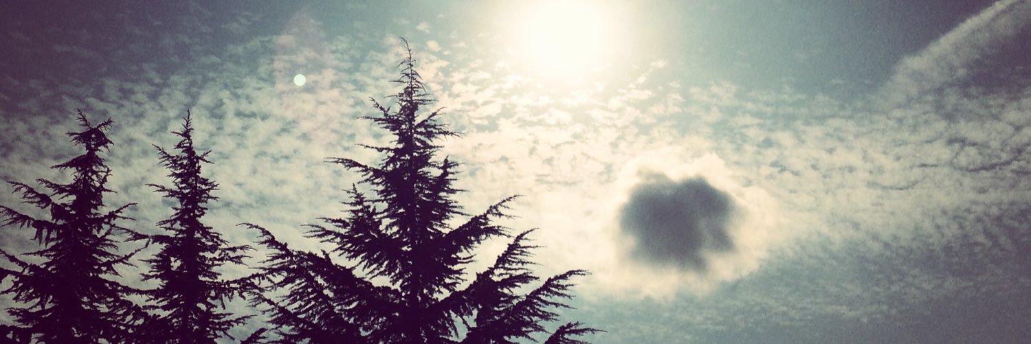 merikein's profile banner image