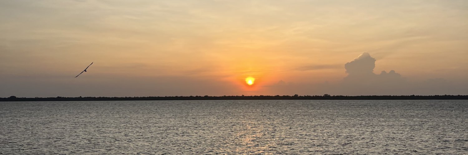 wolfiegiulia's profile banner image