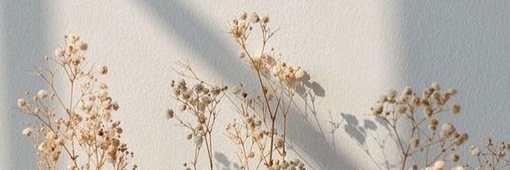 SabrinadoesUGC's profile banner image