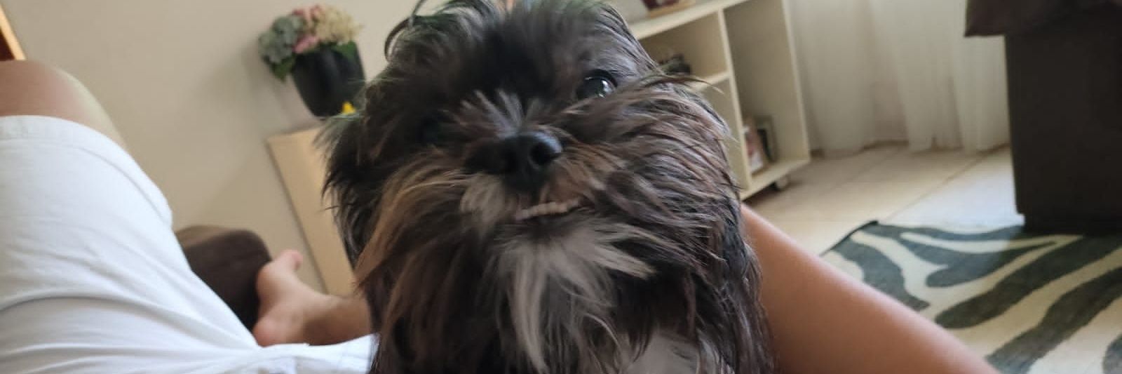 𝐑𝐎𝐂𝐗𝐗𝐘 • ᵁⁿˡᶦᵐᶦᵗᵉᵈ banner