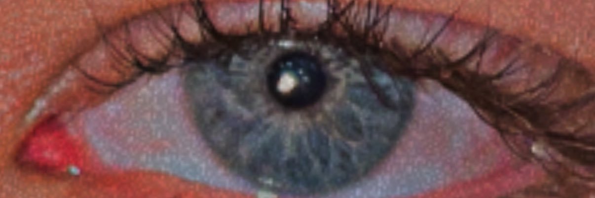 raventhejit's profile banner image