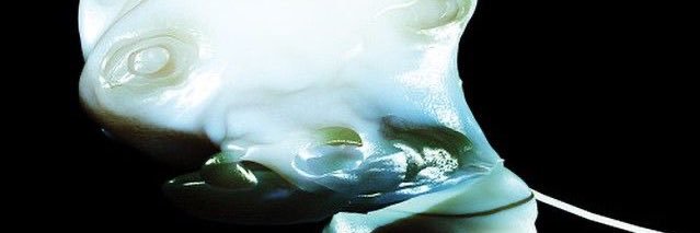 X Σ П Ө M Ө Я P Ή G I Я L banner