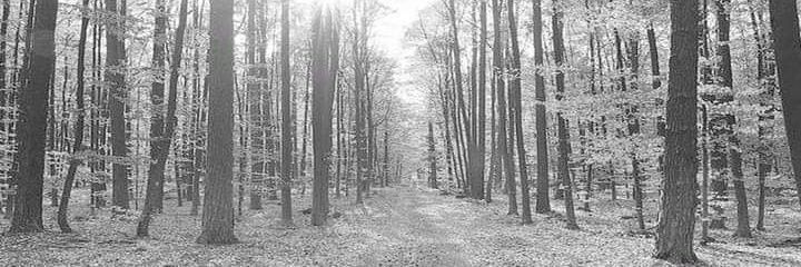 𝖘 banner