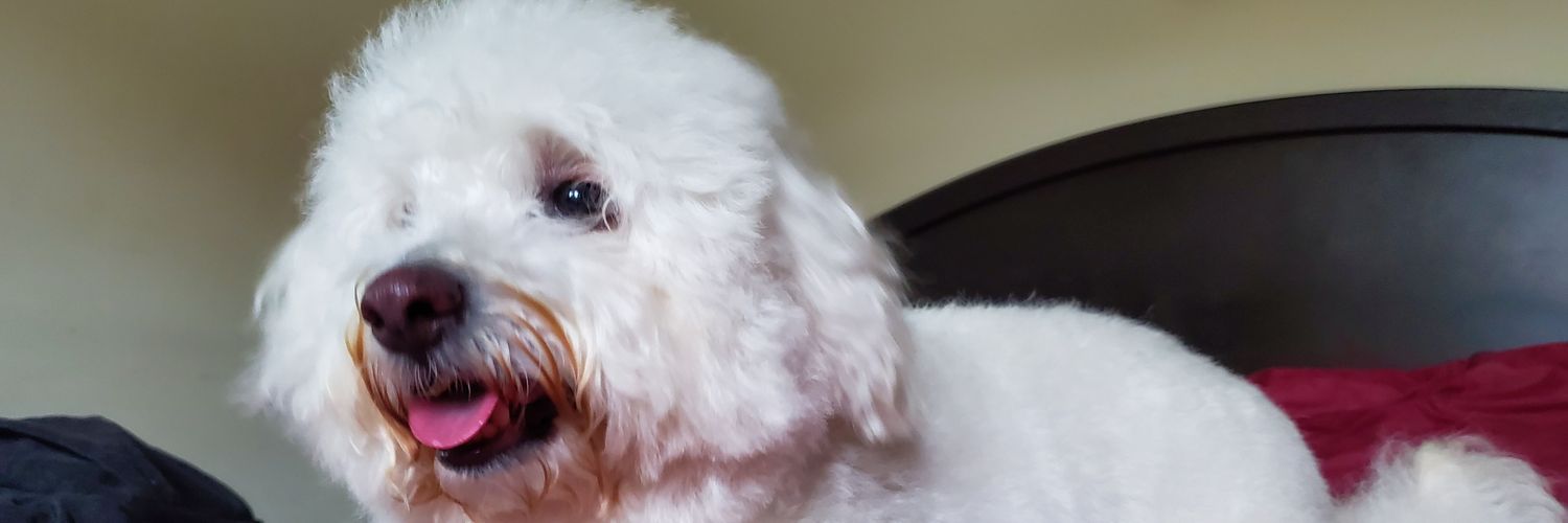 EdgarBonilla96's profile banner image
