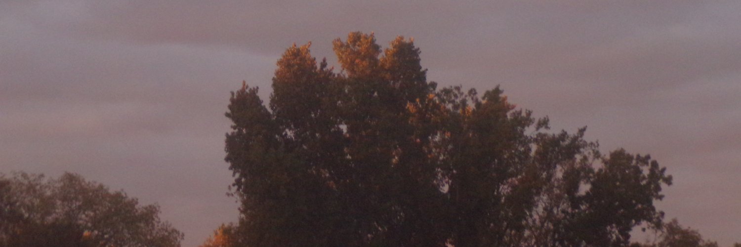 sho_buh's profile banner image