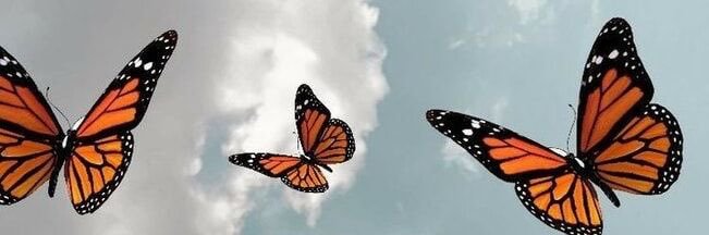 Peach 🧚🏾‍♀️✨ banner