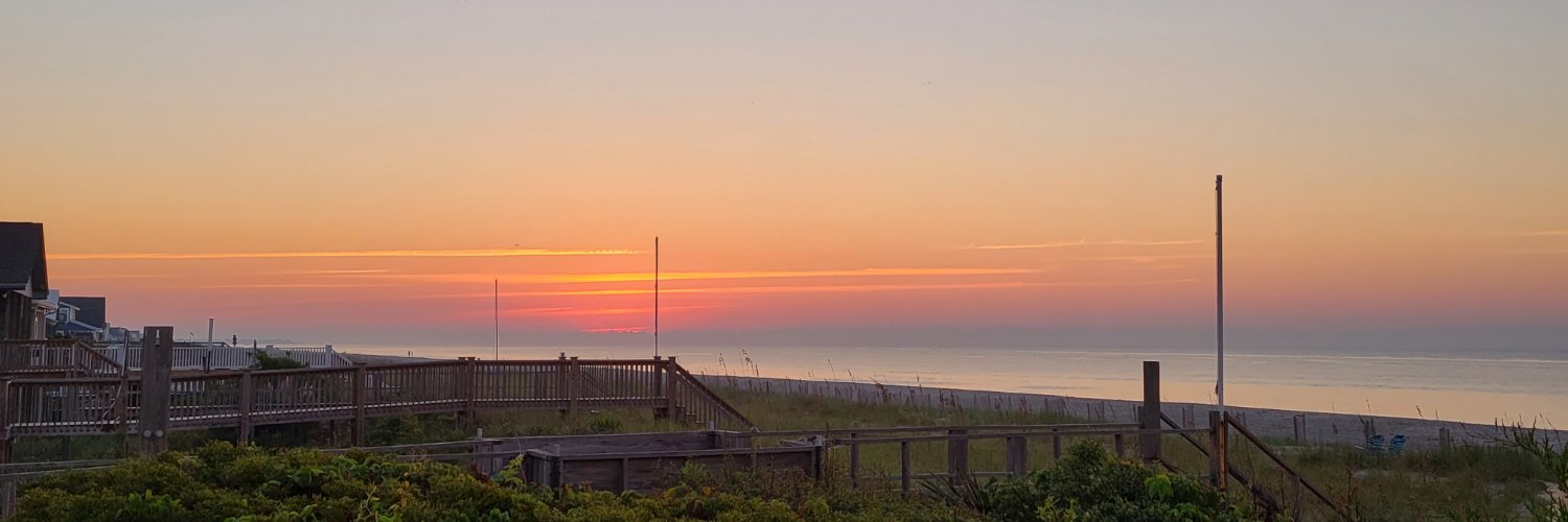 Mischievous-Shark banner