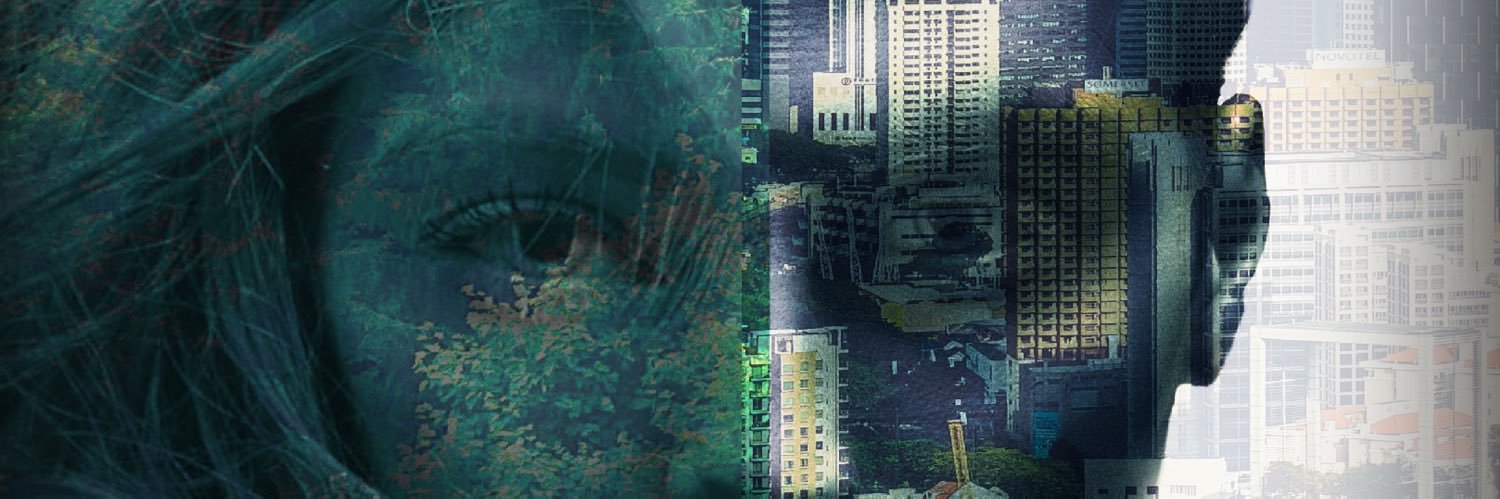 Dan Cuoco banner