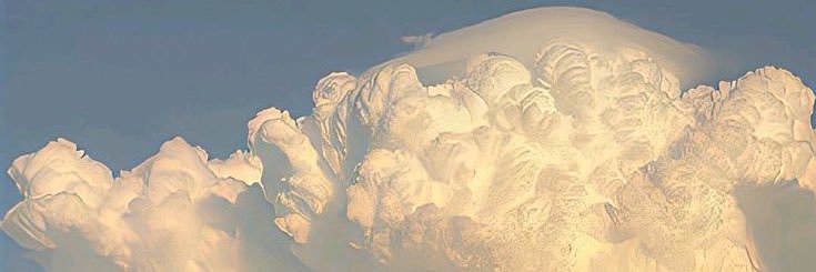 rosesimpj's profile banner image