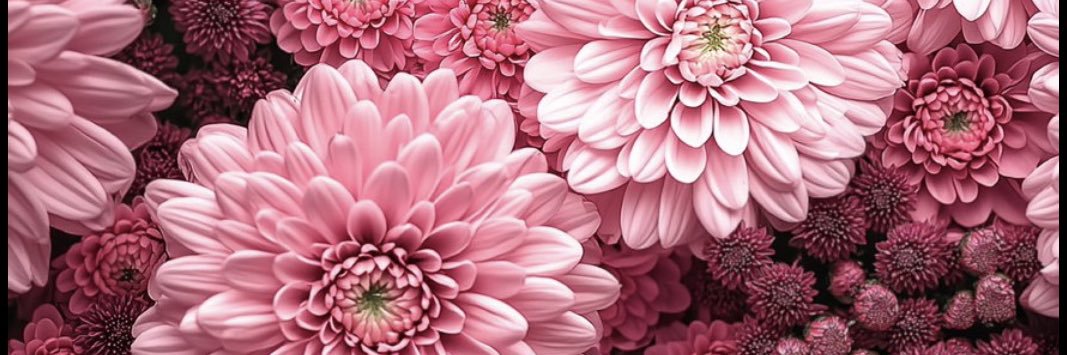 jamillaaaaa_'s profile banner image